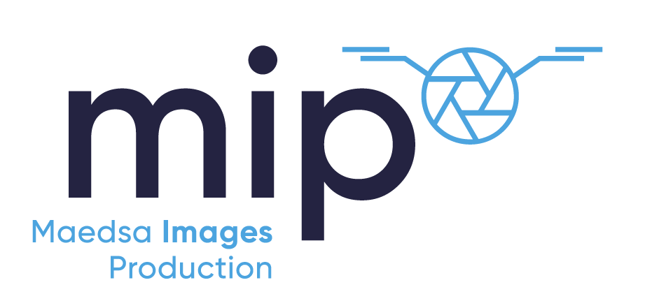 MIP Logo liseret court